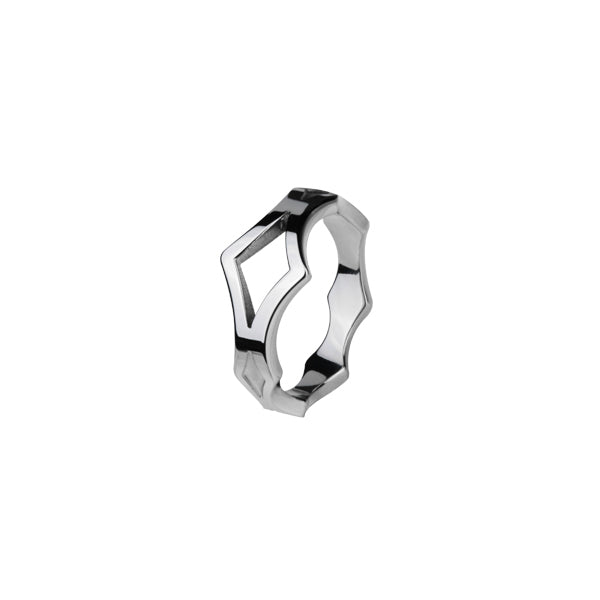 RSS555  STAINLESS STEEL RING