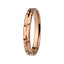 RSS763 STAINLESS STEEL RING AAB CO..