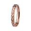RSS766 STAINLESS STEEL RING AAB CO..