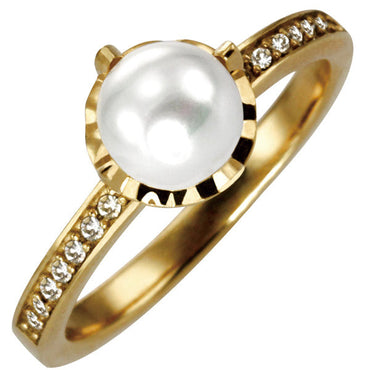 RSS851 STAINLESS STEEL RING AAB CO..