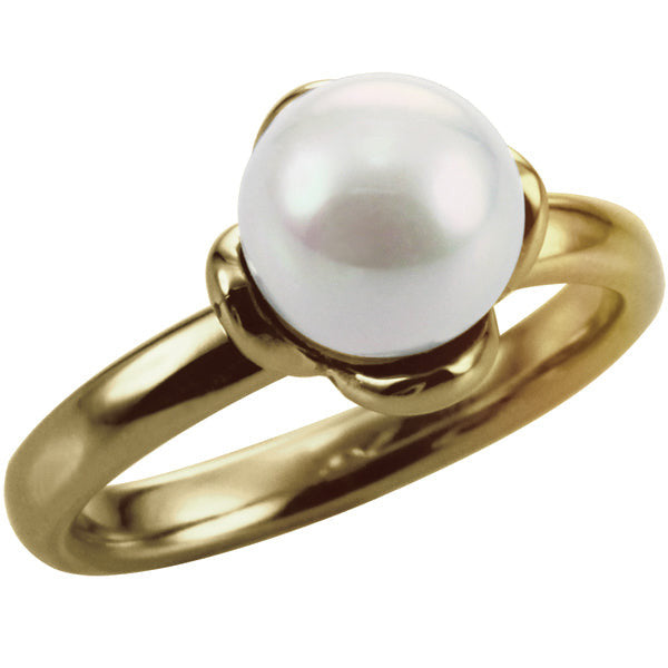 RSS852 STAINLESS STEEL RING AAB CO..
