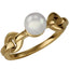 RSS857 STAINLESS STEEL RING AAB CO..