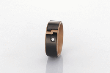 RSSA02 TITANIUM RING AAB CO..