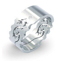 SSRCZ03 STAINLESS STEEL RING AAB CO..