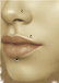 BBNPG3 NOSE STUD WITH STEEL BALL